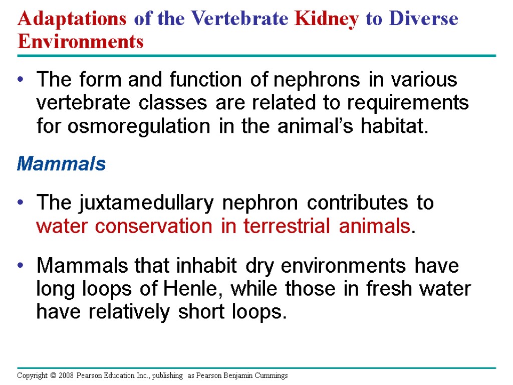 Adaptations of the Vertebrate Kidney to Diverse Environments The form and function of nephrons